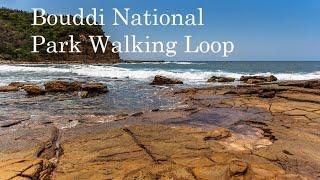 Walk & Talk - Episode 41 - Bouddi National Park Walking Loop