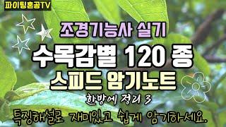 조경기능사 수목감별 한방에 정리 3  (해설포함)