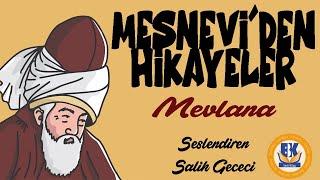 Mesnevi'den Seçme Hikayeler - Mevlana (Sesli Kitap Tek Parça) (Salih Gececi)