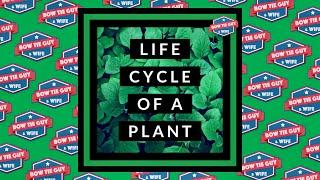 Life Cycle of a Plant (Student Informational Video)