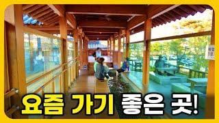 Amazing Natural Hot Spring Water Traveling to Korea | Solo Travel