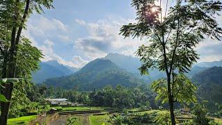 liburan di rumah nene