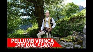 Pellumb Vrinca -Jam Djal Planit ( Official Video 4K)