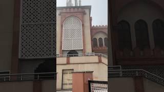 GRC jali at Deoband darul-ulume waqf #grc #jali #windows #shorts #design