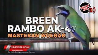 Masteran Cucak Cungkok GACOR Bren Rambo AK-47