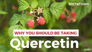 "Why You Should Be Taking Quercetin". DICTATIONS #184