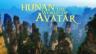 Zhangjiajie National Park in China - Hunan, The Other World Of The Avatar | Documentary Promo