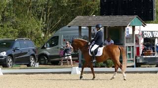 Ronni and Otto at Hickstead CDI Pony Team Test