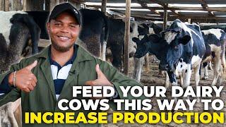 Small Scale Farming Guide for Dairy Farmers: How to Increase Your Dairy Farm Production