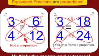 What is a Proportion?