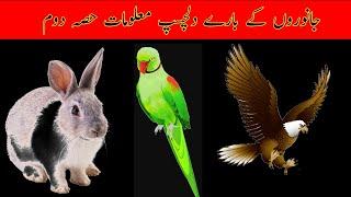 Interesting Information About Animals Part II | Interesting Facts about Animals | HAMID ACADEMEY |