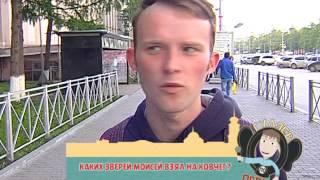 Гуляев по Перми (23 июня)