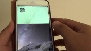 iPhone 6 Plus: How to Apply Inverted Color / Grayscale Filter Inside Zoom Window