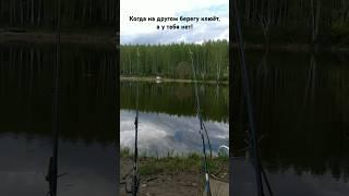 Когда клюёт на другом берегу #fishing #рыбалка #shorts