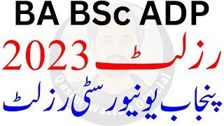 BA BSc Result 2023 || ADP Result 2023