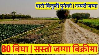 80 Bigga | Sasto Krishi Jagga | Cheap | Agriculture Land For Sale at Nepal | Krishi Farm #Hamrobazar