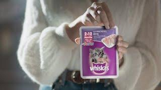 Curious kitten dives into delicious Whiskas® Junior.