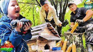 ЖИВЕМ В ДЕРЕВНЕ И ВОССТАНАВЛИВАЕМ ЗАБРОШЕНЫЙ ХУТОР. ОГОРОД НА ХУТОРЕ, А ТЕПЛИЦА  В ДЕРЕВНЕ.