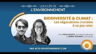 Biodiversité & Climat : les négociations cruciales à ne pas rater - Les Clés de l'Environnement