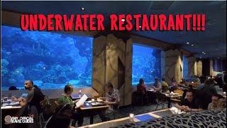 Dining at Disney: Coral Reef Restaurant EPCOT