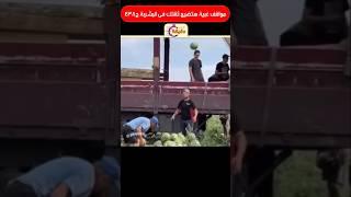مواقف غبية هتضيع ثقتك فى البشربة ج438