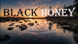 Thrice - Black Honey (Lyrics)