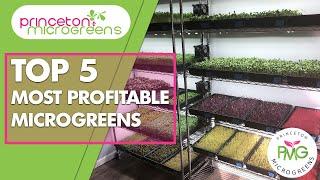 Top 5: Most Profitable Microgreens