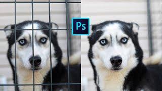 Remove fence in photoshop tutorial #shorts