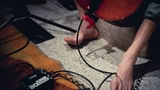 Cloud Cult - Transistor Radio (Live on KEXP)