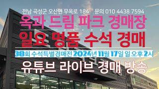 옥과 드림파크 경매장/2024년 11월 17일 오후 2시/제 38회 일요 수석 특별 경매전/문의 010 4438 7594/명품수석,꽃돌,남한강,쵸코,미석,중국,인니,수입석,대형석/