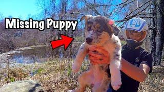 Found Missing Puppy In The Forest (Alone and Thirsty) *HAPPY ENDING*