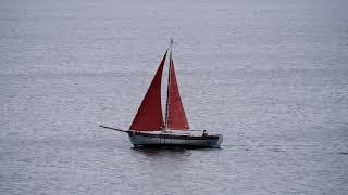Pirate Ship?