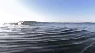 Puro Surf Marcelo Castellanos. El Zonte, Sivar Waves.