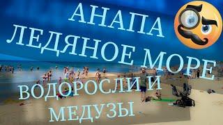 Анапа 2024, ледяное море! Водоросли и медузы!