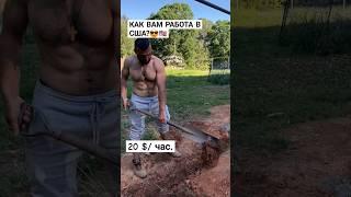 КАК ВАМ РАБОТА В США? #америка #жизньвсша #работавсша #иммиграция #жизньвамерике