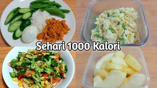 SEHARI 1000 KALORI || DEFICIT KALORI || DIET SANTUY ENJOY || MAK LIN OFFICIAL