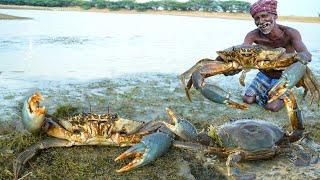 MONSTER MUD CRABS | முரட்டு கலி நண்டை வசமாக பிடித்த தாத்தா | Village Food | Grandpa Cooking Show