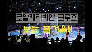 로얄캐리비안 크루즈 보는 즐거움 각종 공연 (Royal Caribbean Cruises Voyager of the Seas Magic show & ice show)