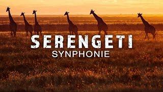 Serengeti Symphonie (Tierdokumentation | ganzer Film Deutsch | TierDoku Deutsch | Afrika Doku Tiere)