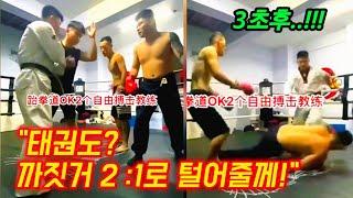 Professional fighter vs Chinese martial arts master