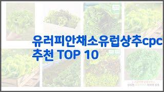 유러피안채소유럽상추cpc 추천 리얼 리뷰 구매량과 상품평으로 살펴본 TOP 10 상품