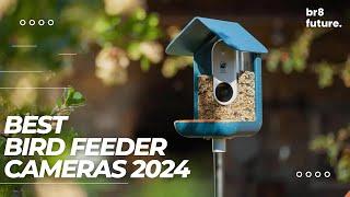 Best Bird Feeder Cameras 2024  Capture Stunning Bird Moments!