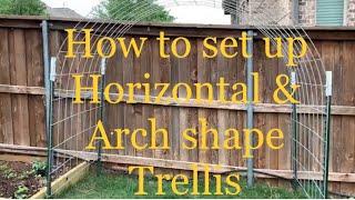 Trellis set up - Complete Guide and Detailed instructions