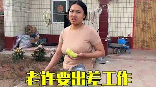 老许要去烟台工作，这次不带着老婆和孩子，你们觉得这次老婆会同意么？【老许的老挝媳妇】
