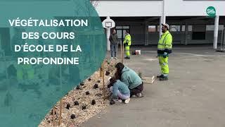 Végétalisation des cours d'école de la Profondine