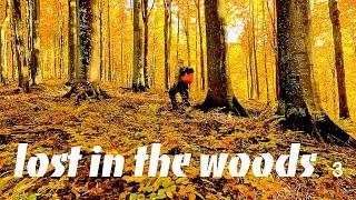 I live alone in a wild forest. Carpathians mountains. Pralises. Ukraine. Survival. Nature of Ukraine
