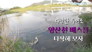 2022.5.15 다양한 탑워터 로테이션으로 양산천배스를 타작해보자. feat.매미루어,I자미노우,아오키무시,스푼,탑워터미노우,스푼,버즌크랭크,스피너,포퍼,스틱베이트