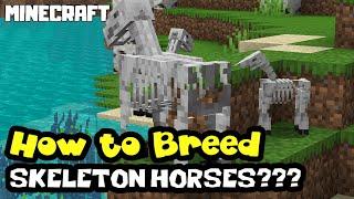 MINECRAFT | How to Breed SKELETON HORSES?