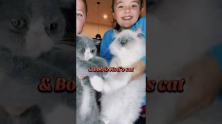 Meet Bob and Sam!