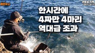 한시간만에 4짜만 4마리 벵에돔 역대급 조과 - 제주도 범섬 남단직벽